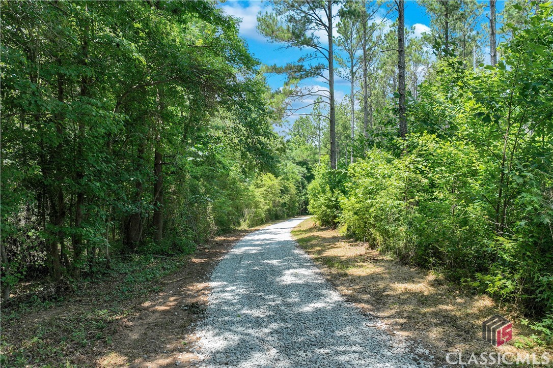 1425 Hargrove Lake Road Winterville, GA 30683 - Photo 6 of 7 Gallery Image 6