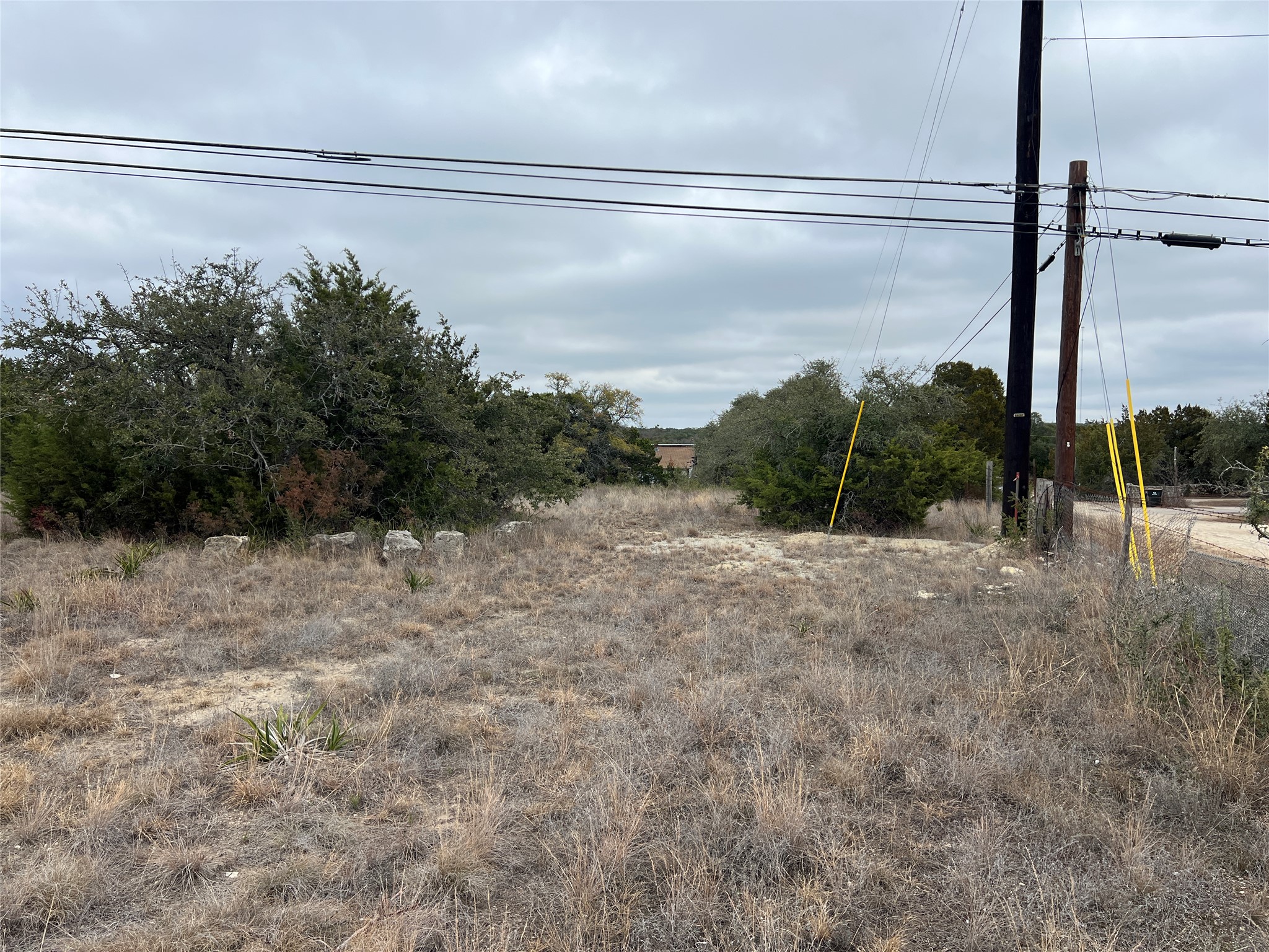 4 Anglin Lane Austin, TX 78737 - Photo 13 of 27 a view of a forest