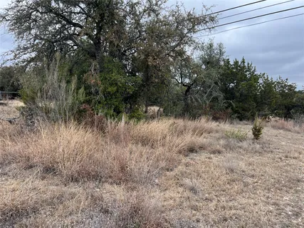 a view of a dry yard with trees