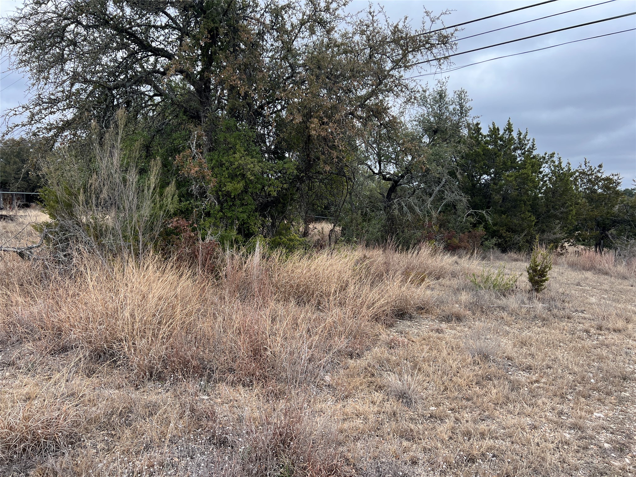 4 Anglin Lane Austin, TX 78737 - Photo 20 of 27 a view of a lush green forest with lots of trees