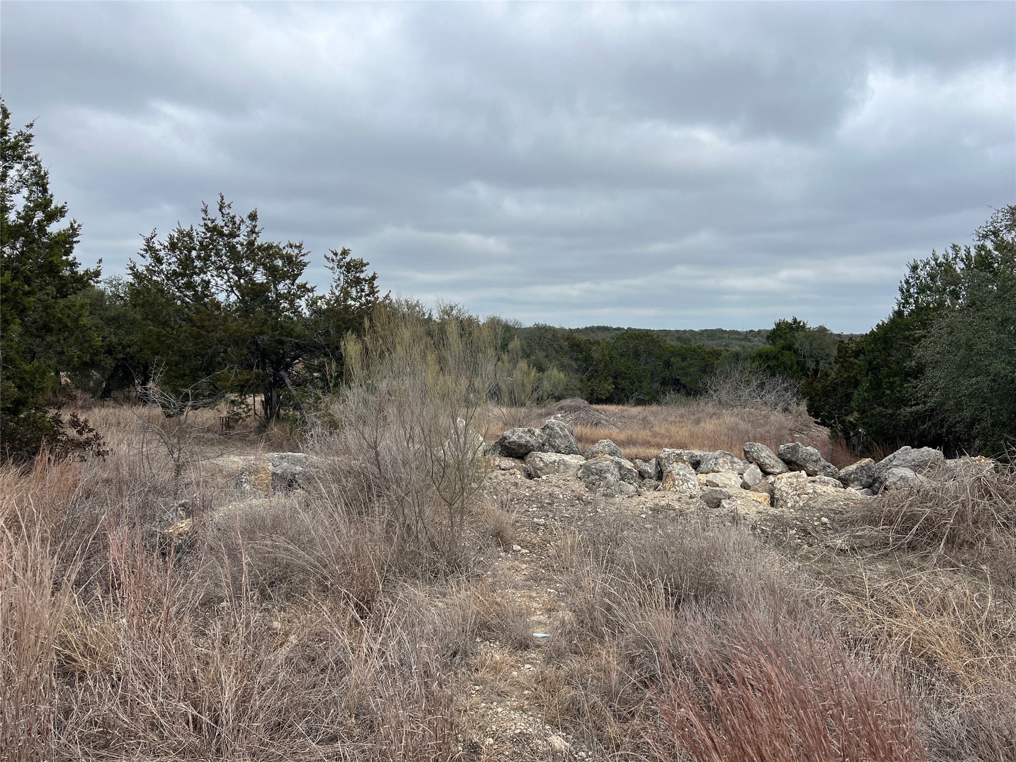 4 Anglin Lane Austin, TX 78737 - Photo 21 of 27 a view of a dry yard with trees