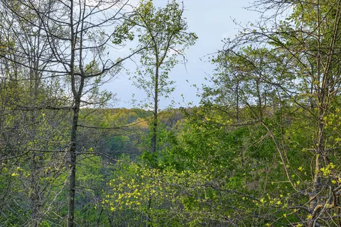 $315,000 | 421 Alpine Drive, Smithville, TN 37166