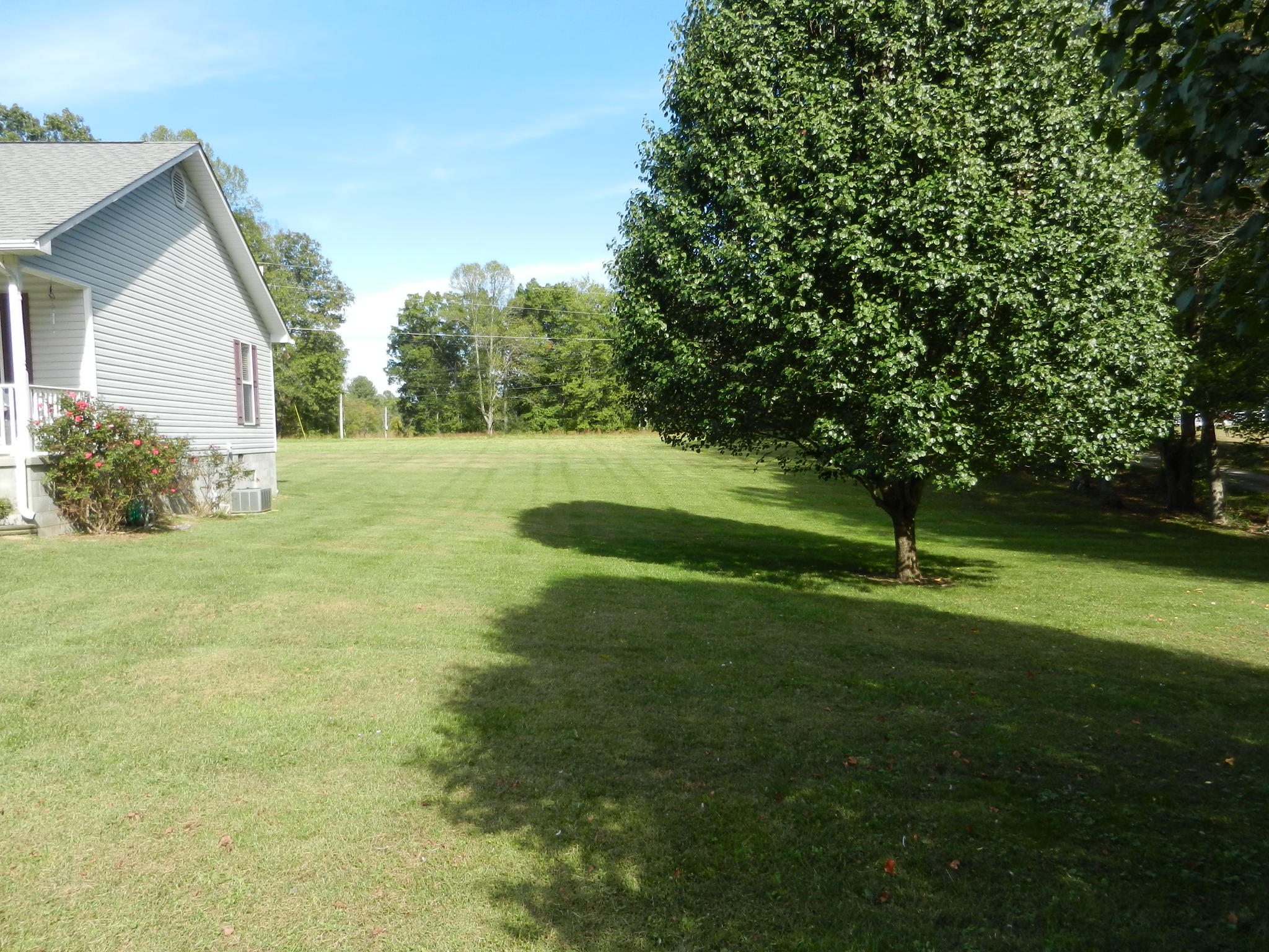 511 Cooper Lake Road Oneida, TN 37841 - Photo 3 of 22 DSCN2813
