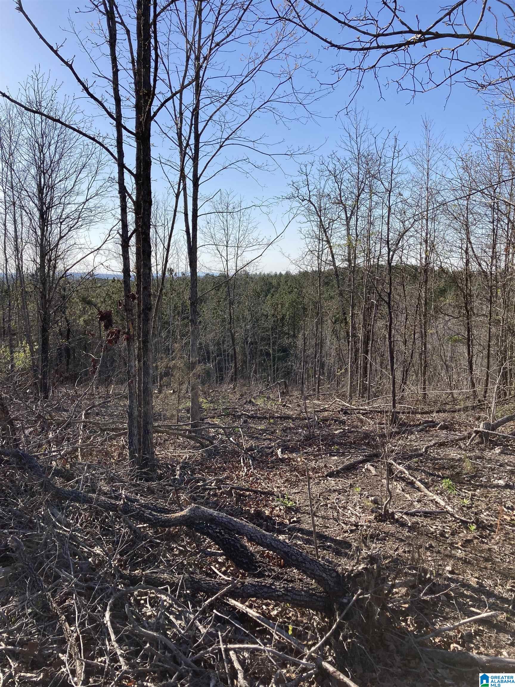 0 Jackson Trace Road, Unit 4 1 Talladega, AL 35160 - Photo 10 of 27