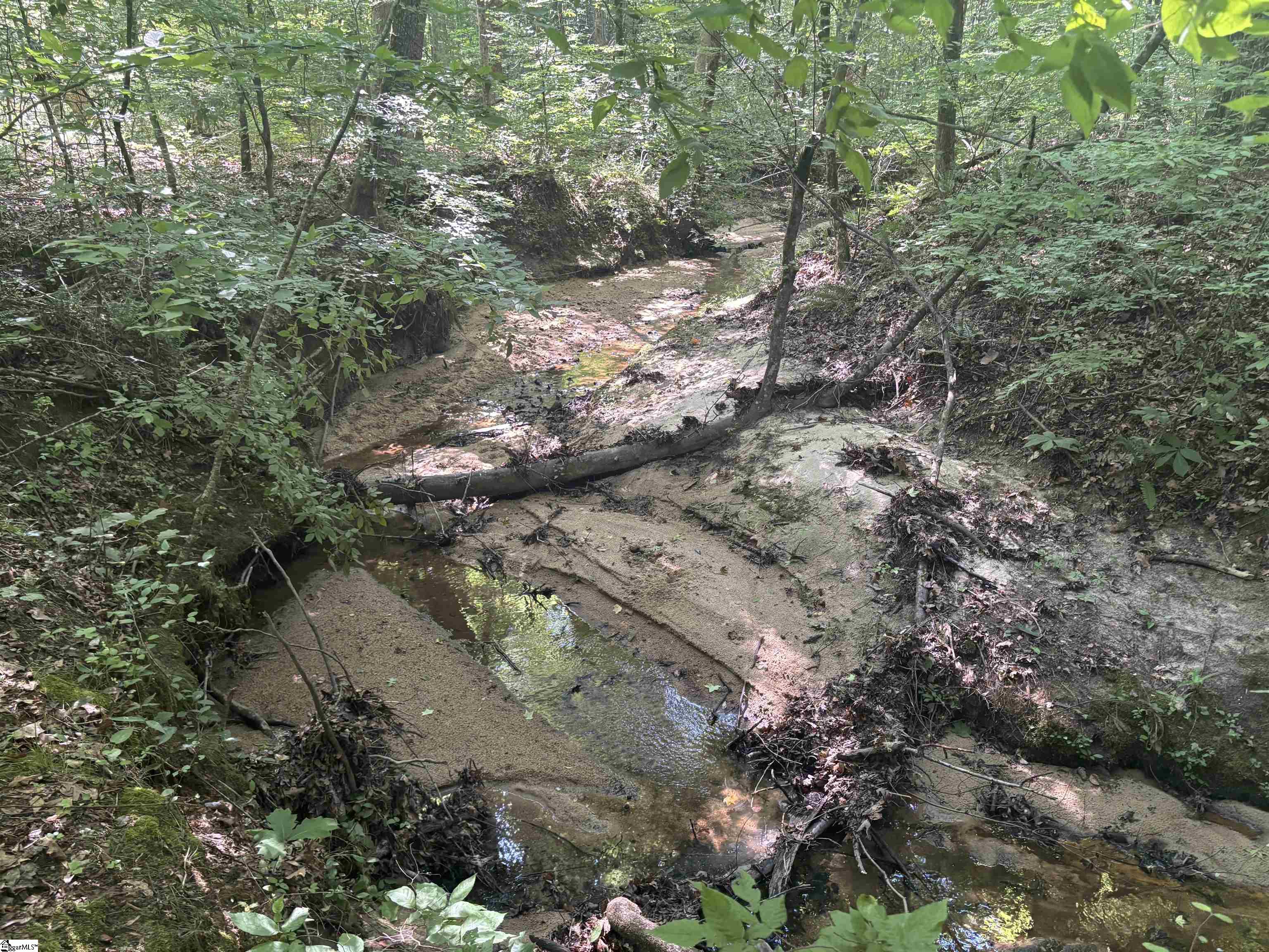 Old Calhoun Falls Road Abbeville, SC 29620 - Photo 5 of 16