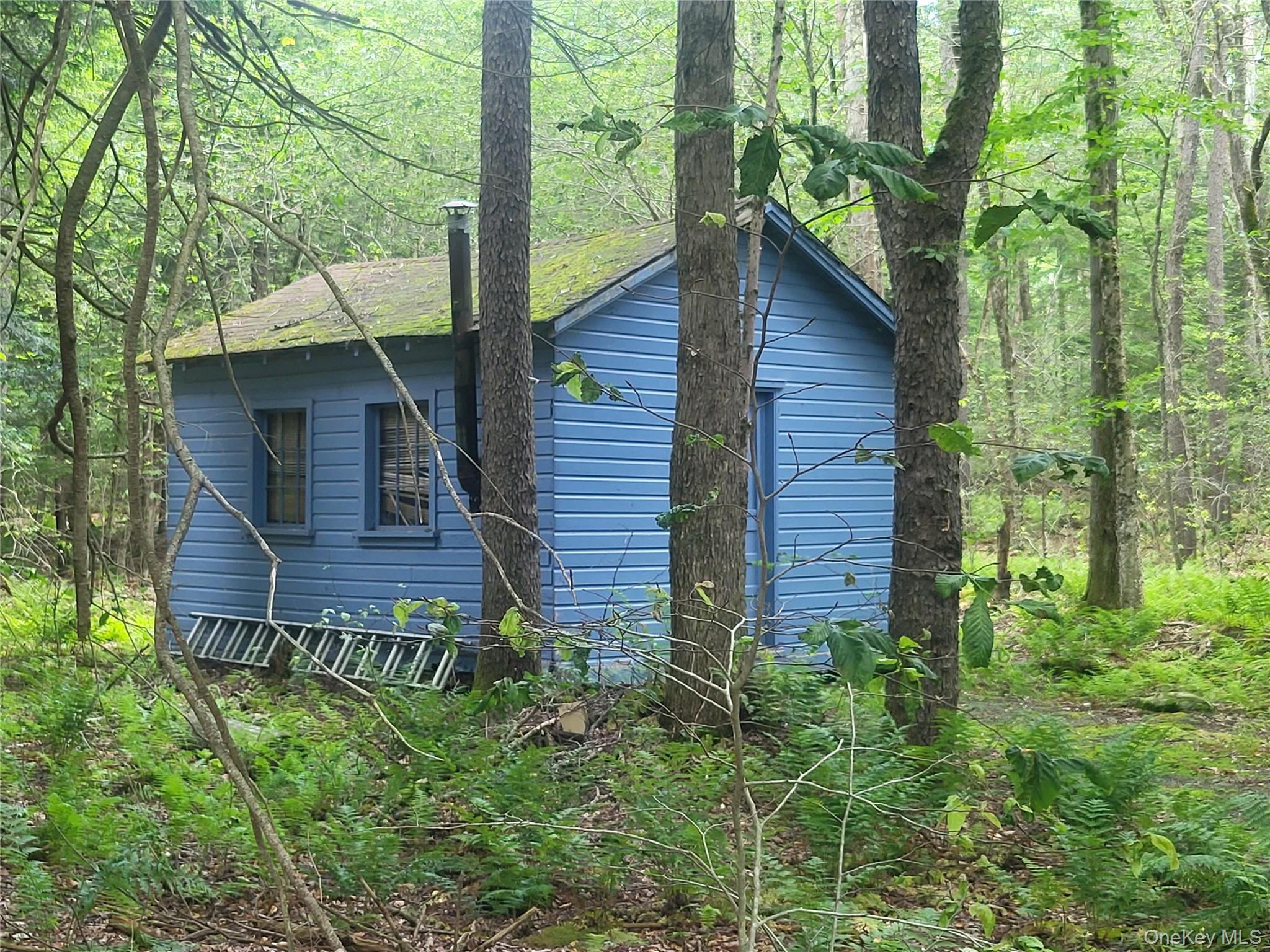 52 Log Road Parksville, NY 12768 - Photo 26 of 31 cottage