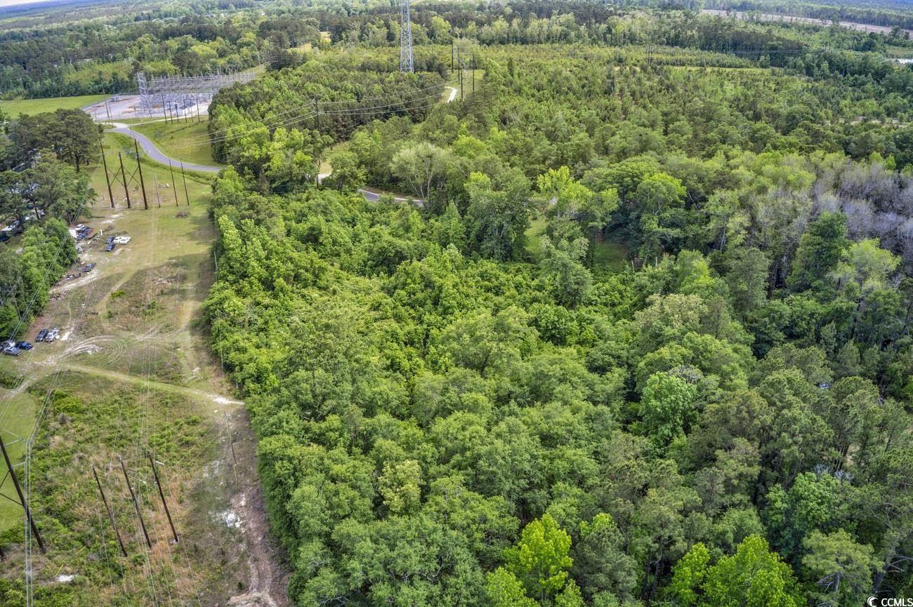 Tbd Liz Lane Conway, SC 29527 - Photo 12 of 15