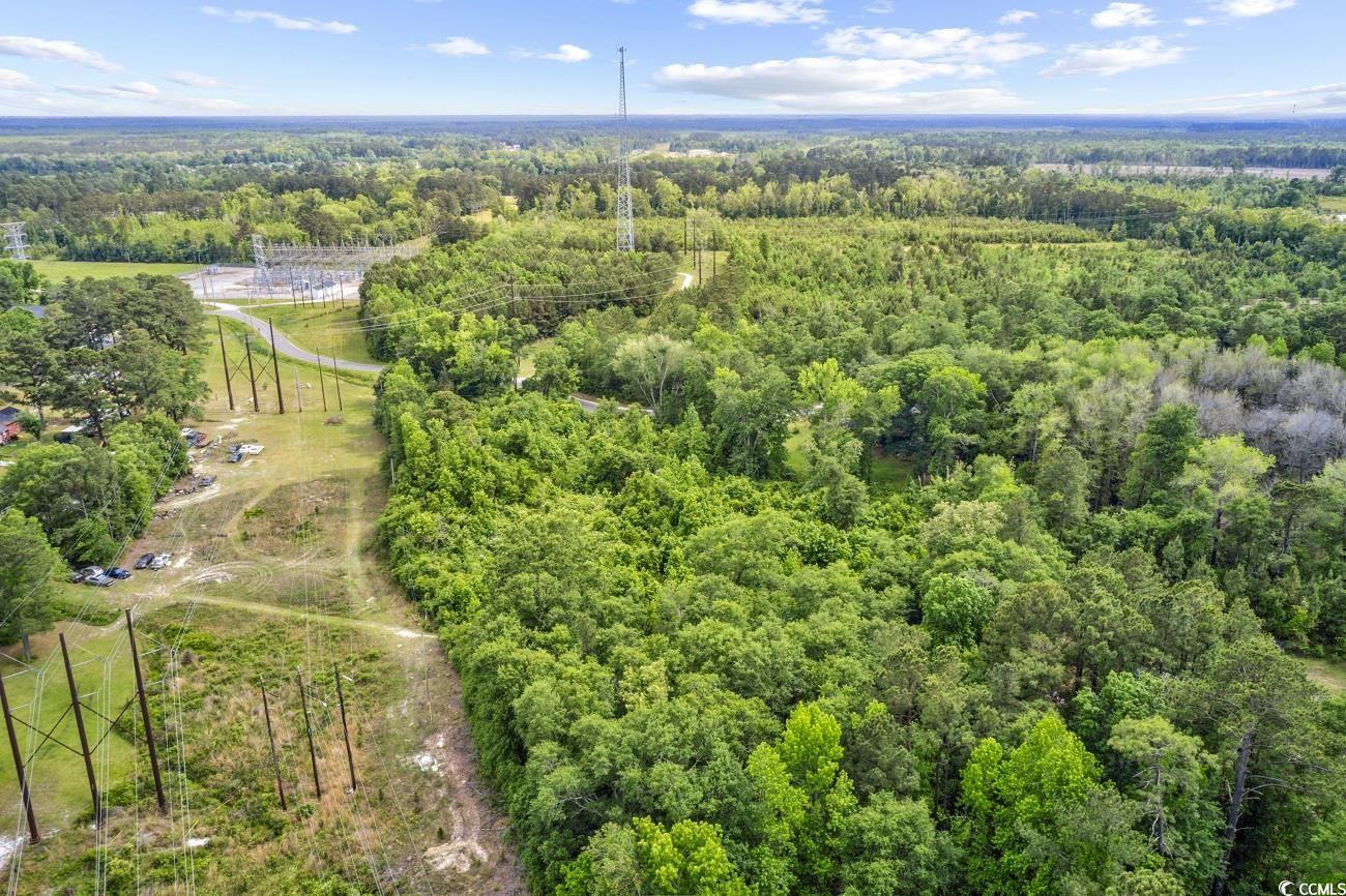 Tbd Liz Lane Conway, SC 29527 - Photo 13 of 15