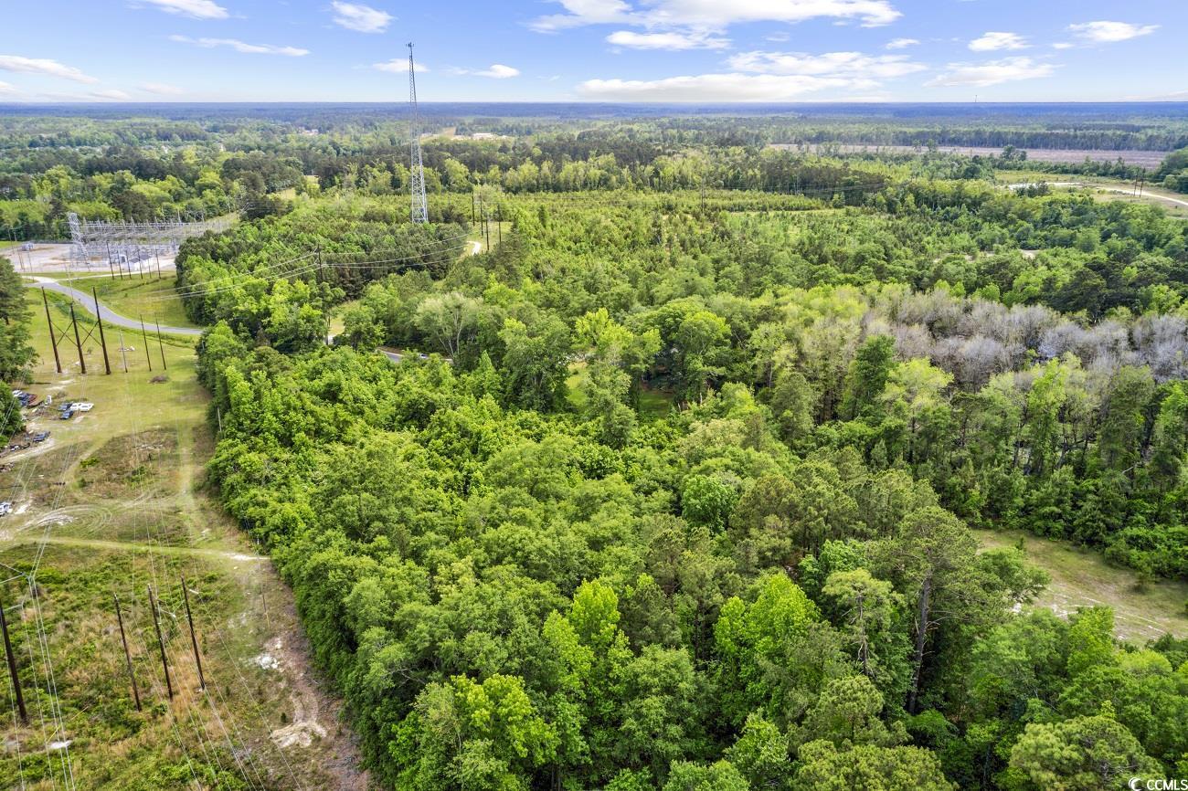 Tbd Liz Lane Conway, SC 29527 - Photo 14 of 15