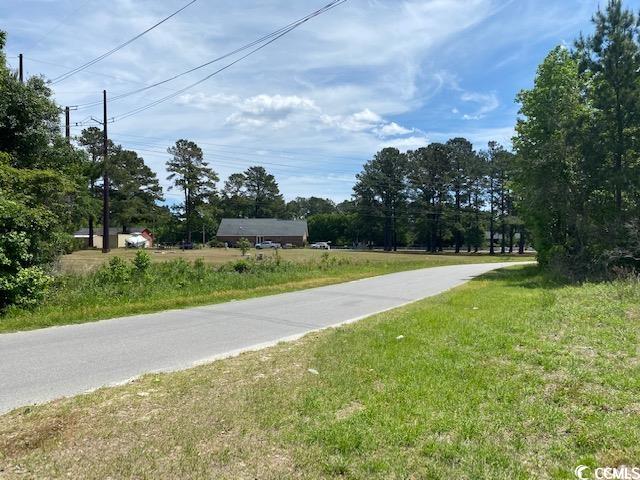 Tbd Liz Lane Conway, SC 29527 - Photo 2 of 15