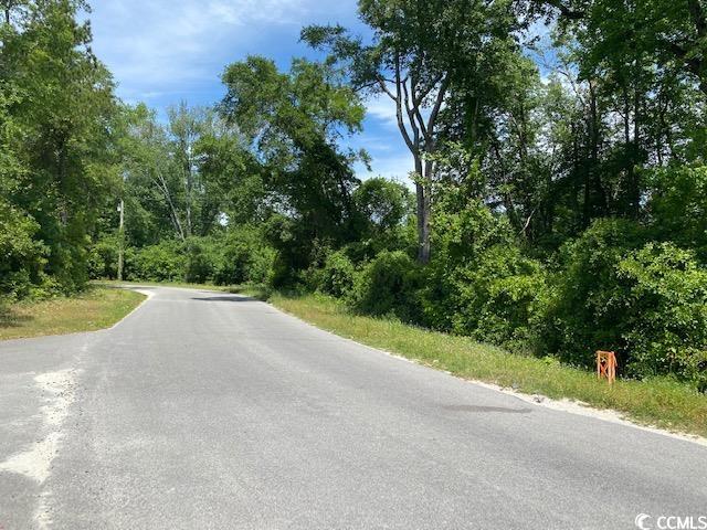 Tbd Liz Lane Conway, SC 29527 - Photo 3 of 15