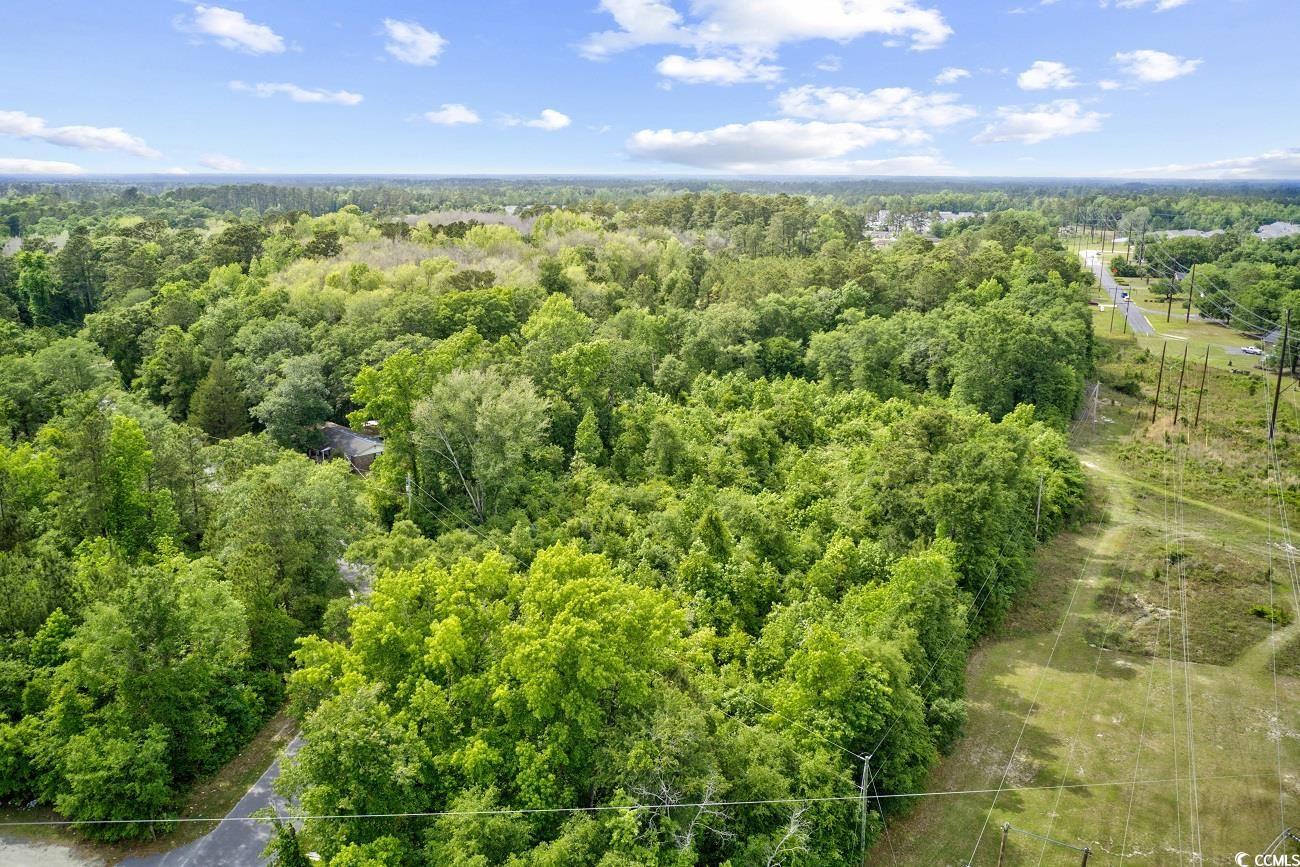 Tbd Liz Lane Conway, SC 29527 - Photo 4 of 15