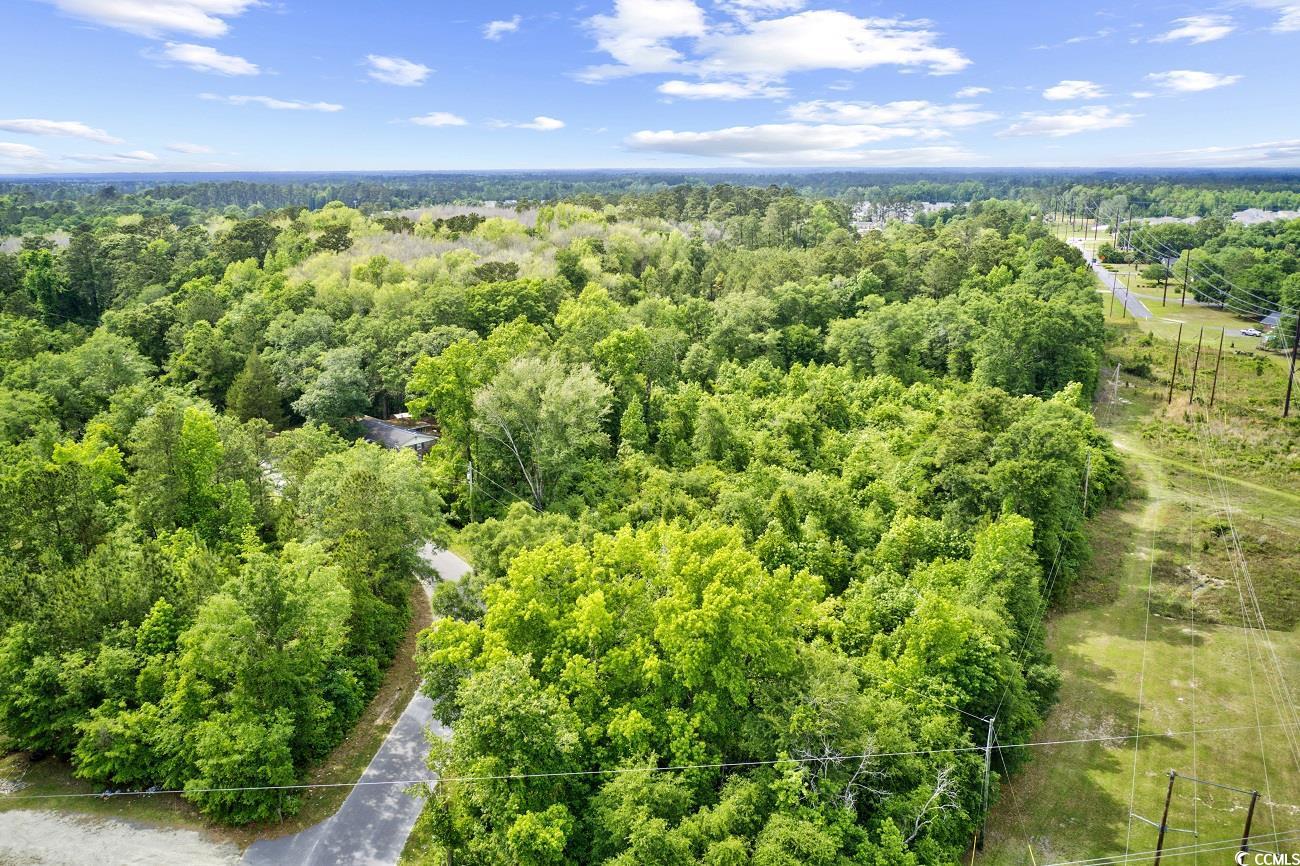 Tbd Liz Lane Conway, SC 29527 - Photo 5 of 15