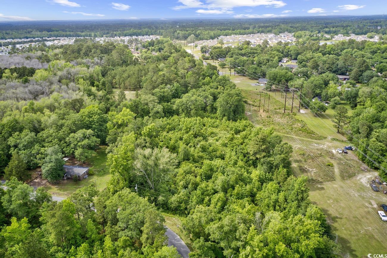 Tbd Liz Lane Conway, SC 29527 - Photo 8 of 15