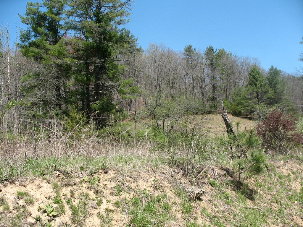 24 Edwards Chapel Road Fries, VA 24330 - Photo 24 of 30 Gallery Image 24