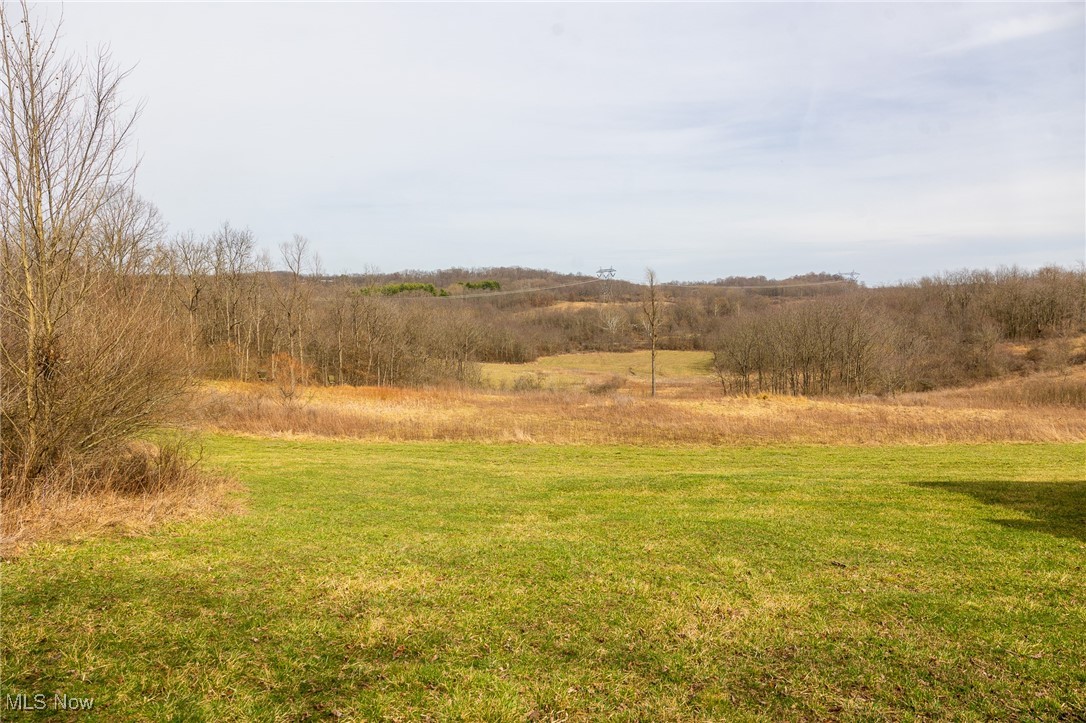 Murray Road Hopedale, OH 43976 - Photo 29 of 50 View of local wilderness with a rural view