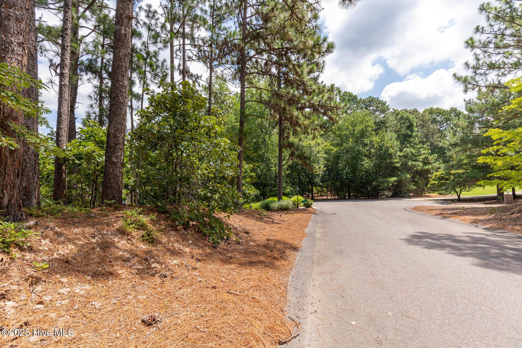 139 Harrell Road West End, NC 27376 - Photo 11 of 13 139 Harrell Rd-8