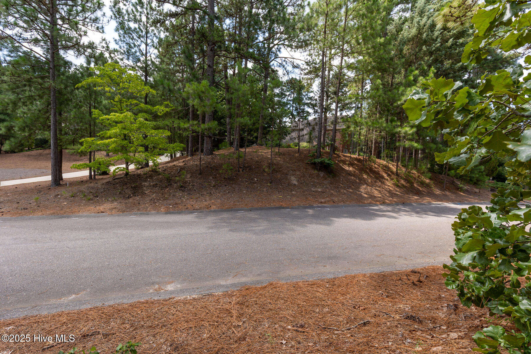 139 Harrell Road West End, NC 27376 - Photo 9 of 13 139 Harrell Rd-3