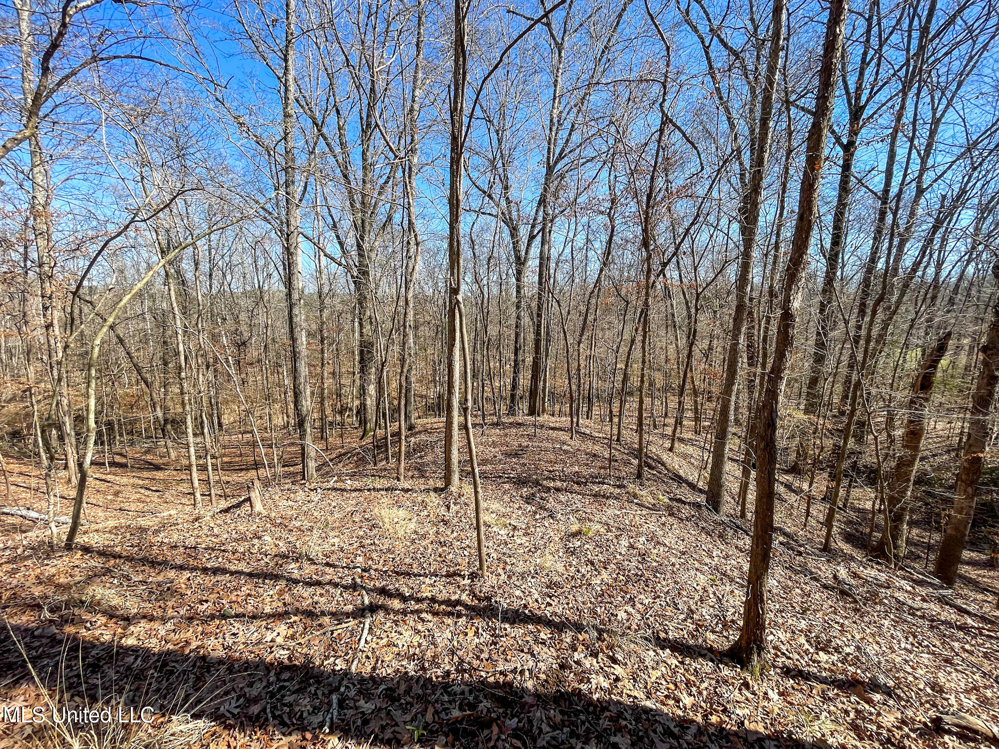 1 Robinson Springs Road Flora, MS 39071 - Photo 11 of 20 IMG_4530