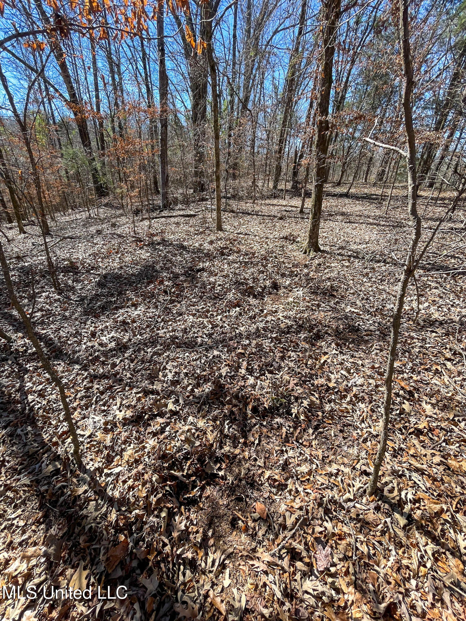 1 Robinson Springs Road Flora, MS 39071 - Photo 13 of 20 IMG_4535