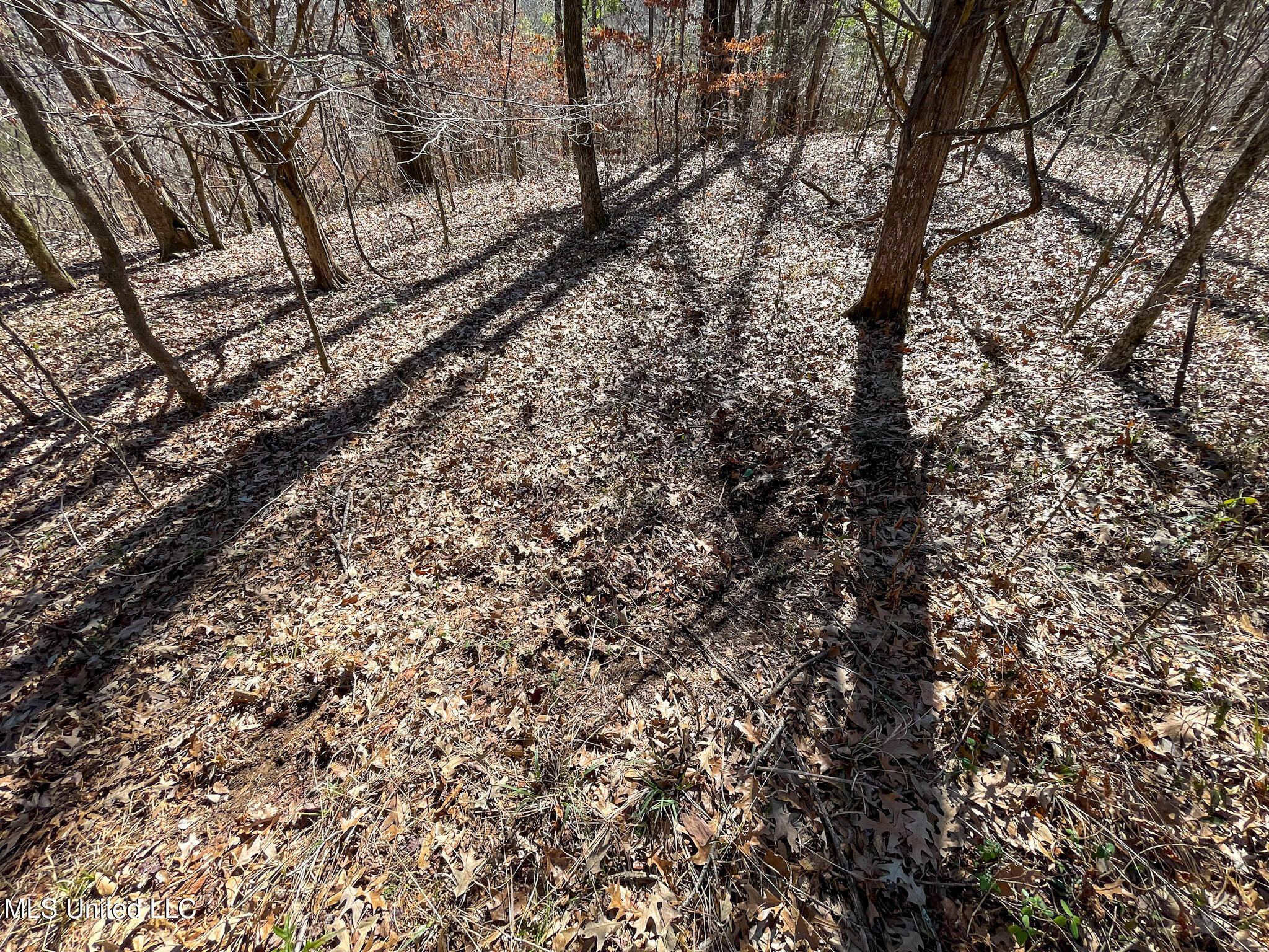 1 Robinson Springs Road Flora, MS 39071 - Photo 14 of 20 IMG_4536