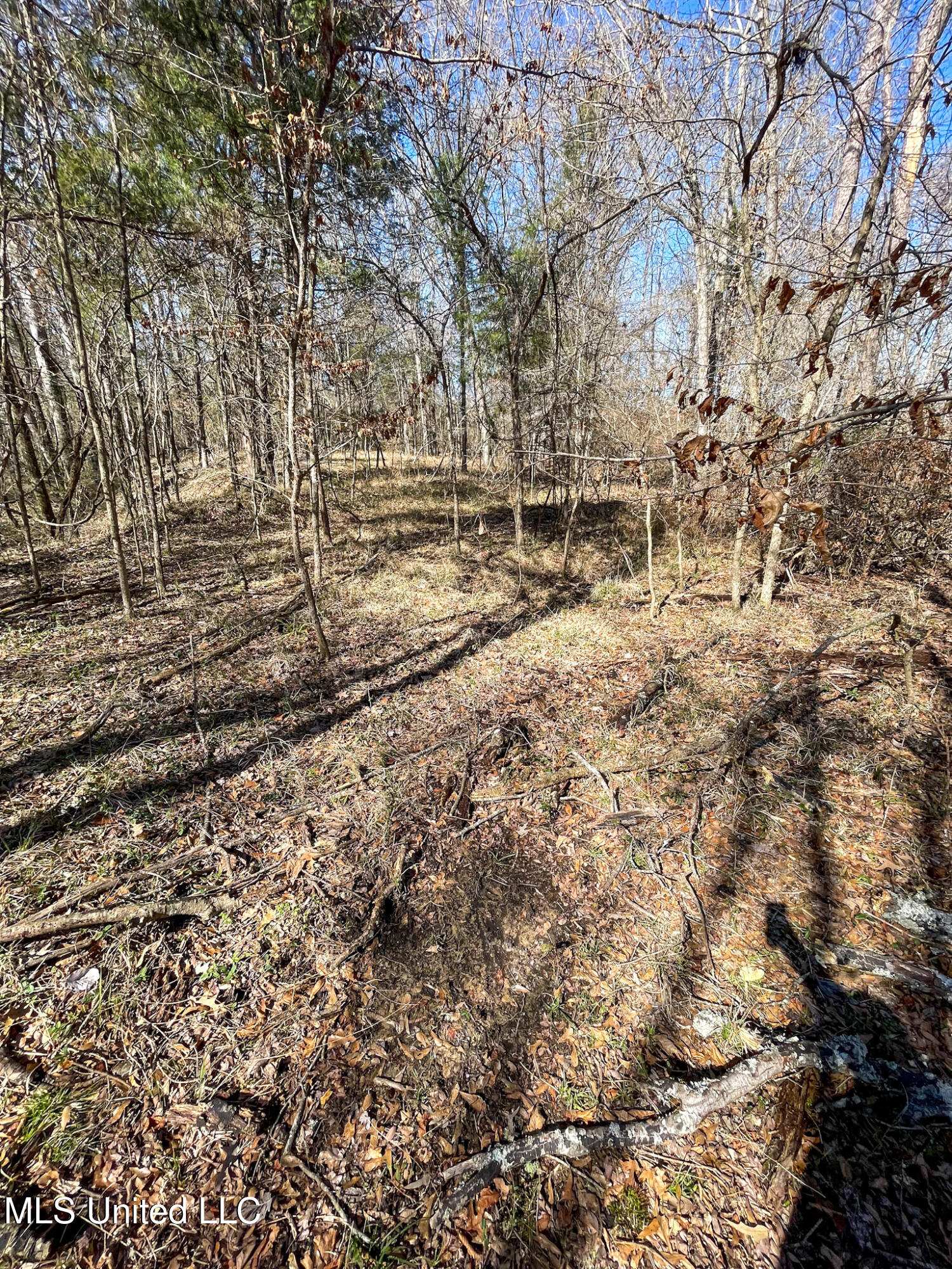 1 Robinson Springs Road Flora, MS 39071 - Photo 15 of 20 IMG_4540
