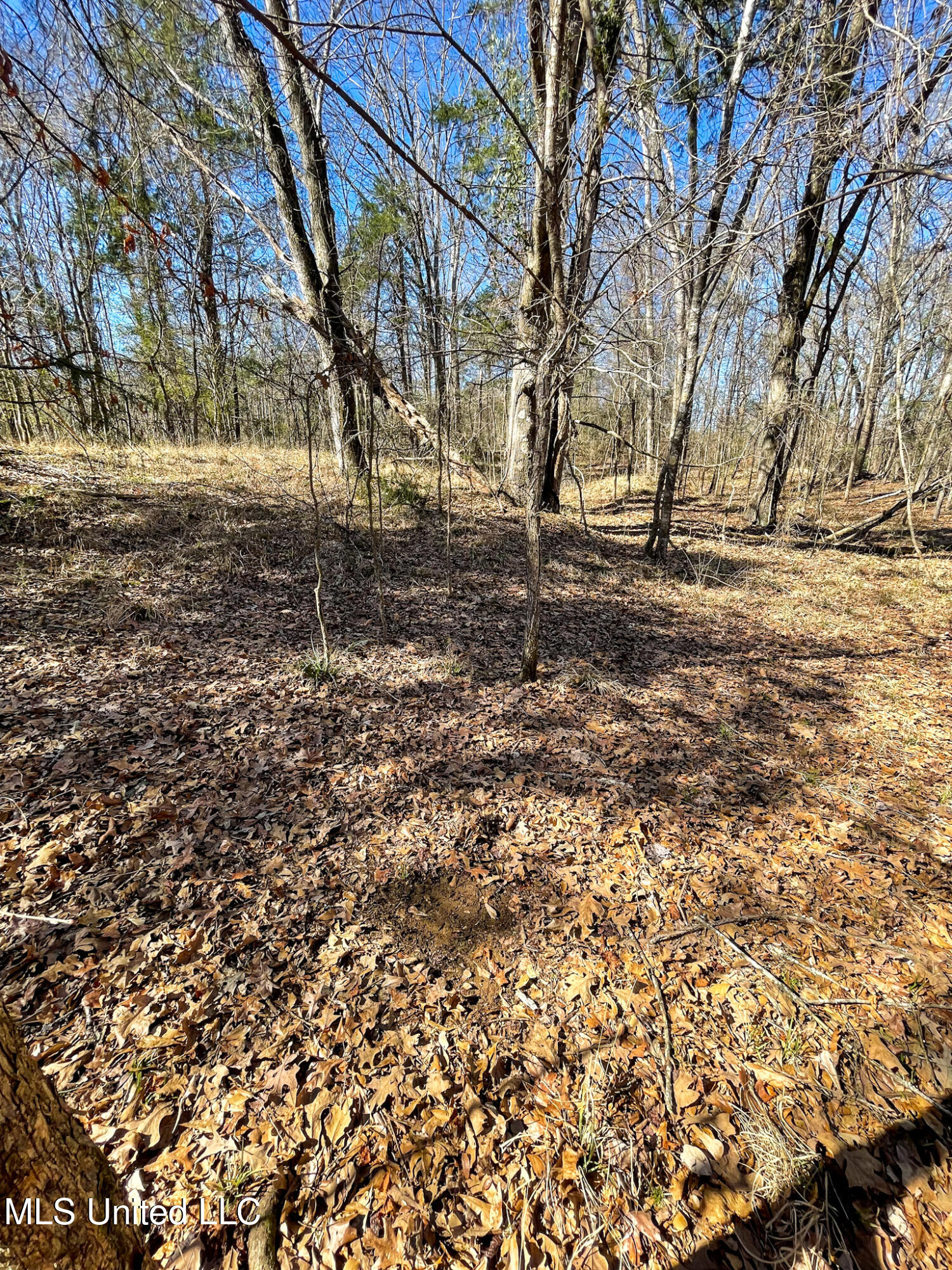 1 Robinson Springs Road Flora, MS 39071 - Photo 17 of 20 IMG_4544