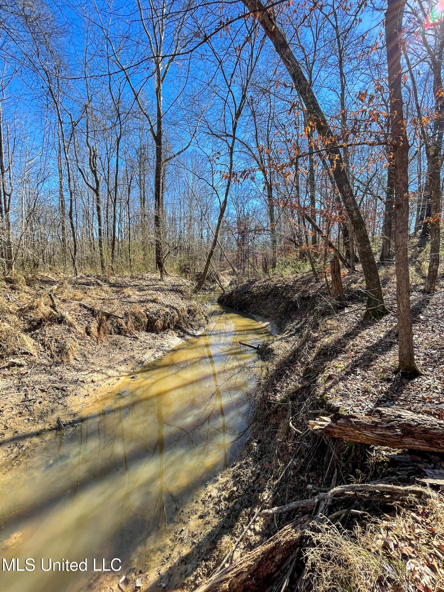 1 Robinson Springs Road Flora, MS 39071 - Photo 18 of 20 IMG_4547