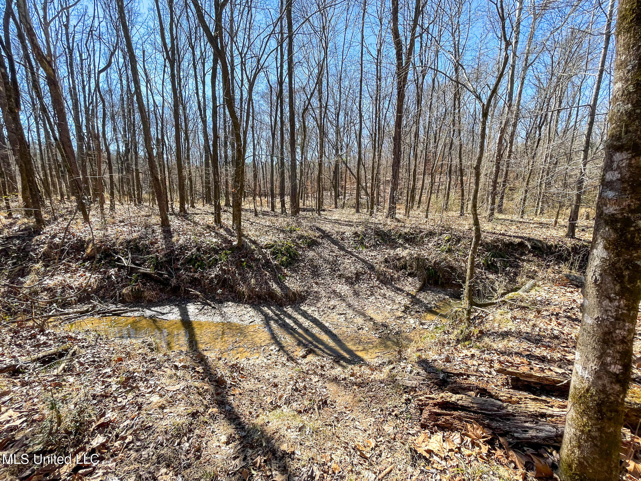 1 Robinson Springs Road Flora, MS 39071 - Photo 3 of 20 IMG_4508