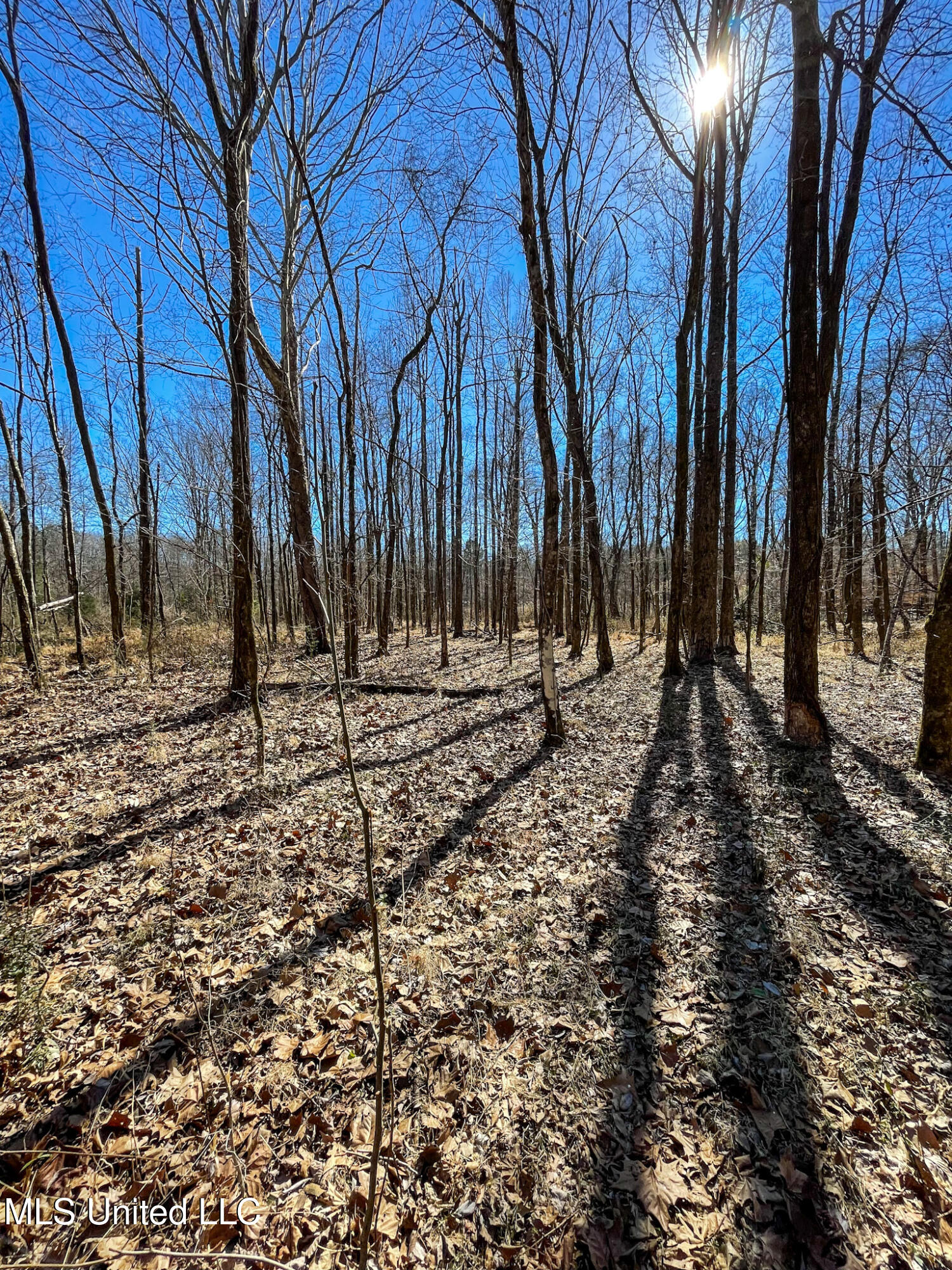 1 Robinson Springs Road Flora, MS 39071 - Photo 4 of 20 IMG_4512
