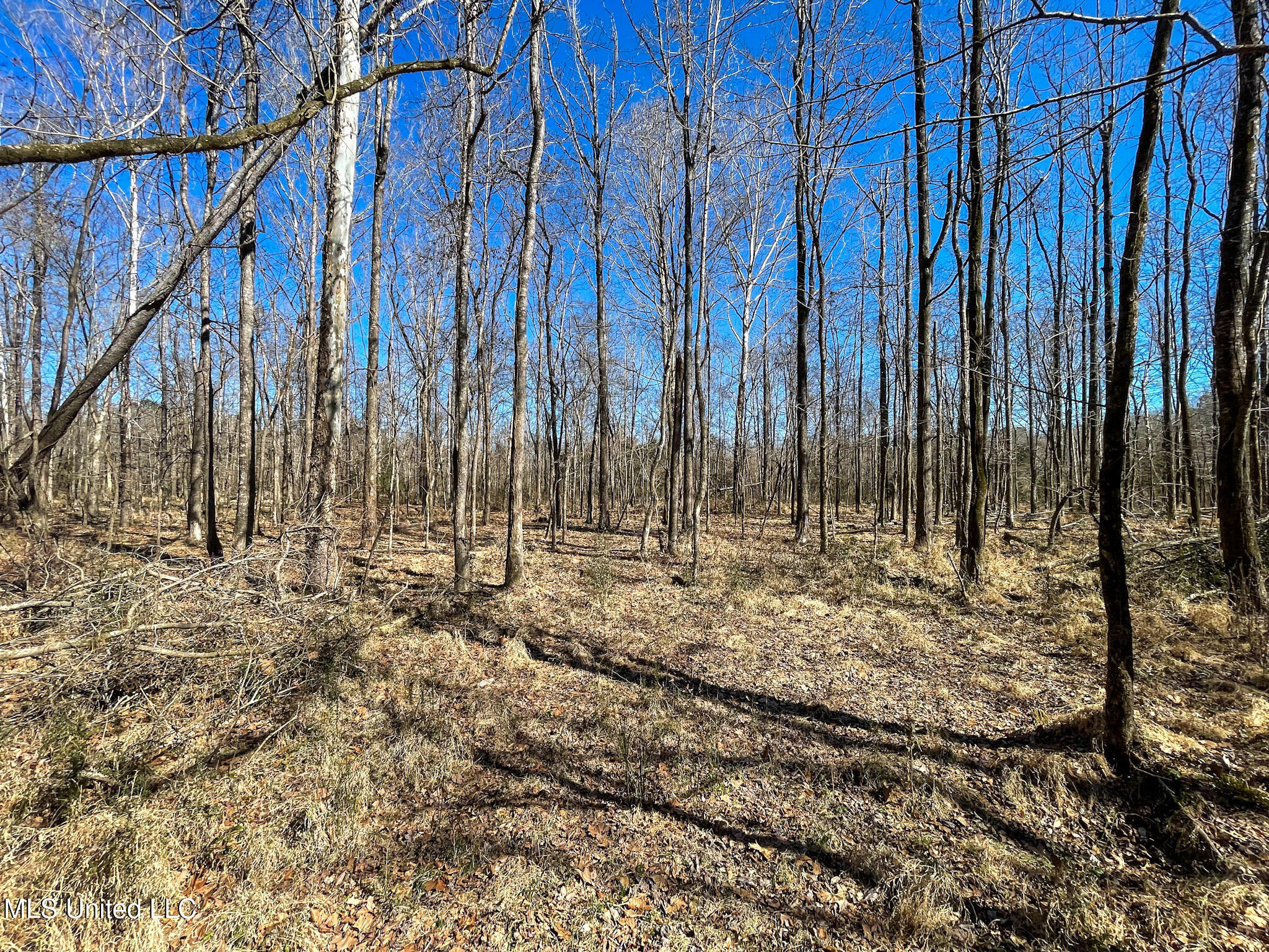 1 Robinson Springs Road Flora, MS 39071 - Photo 6 of 20 IMG_4514