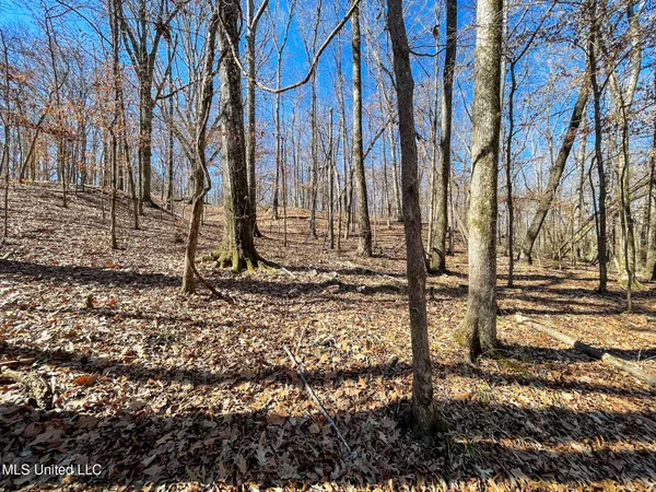 $75,000 | 1 Robinson Springs Road, Flora, MS 39071