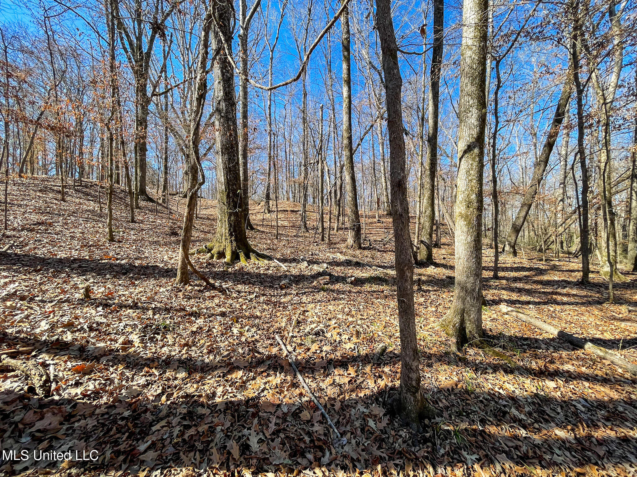 1 Robinson Springs Road Flora, MS 39071 - Photo 7 of 20 IMG_4520