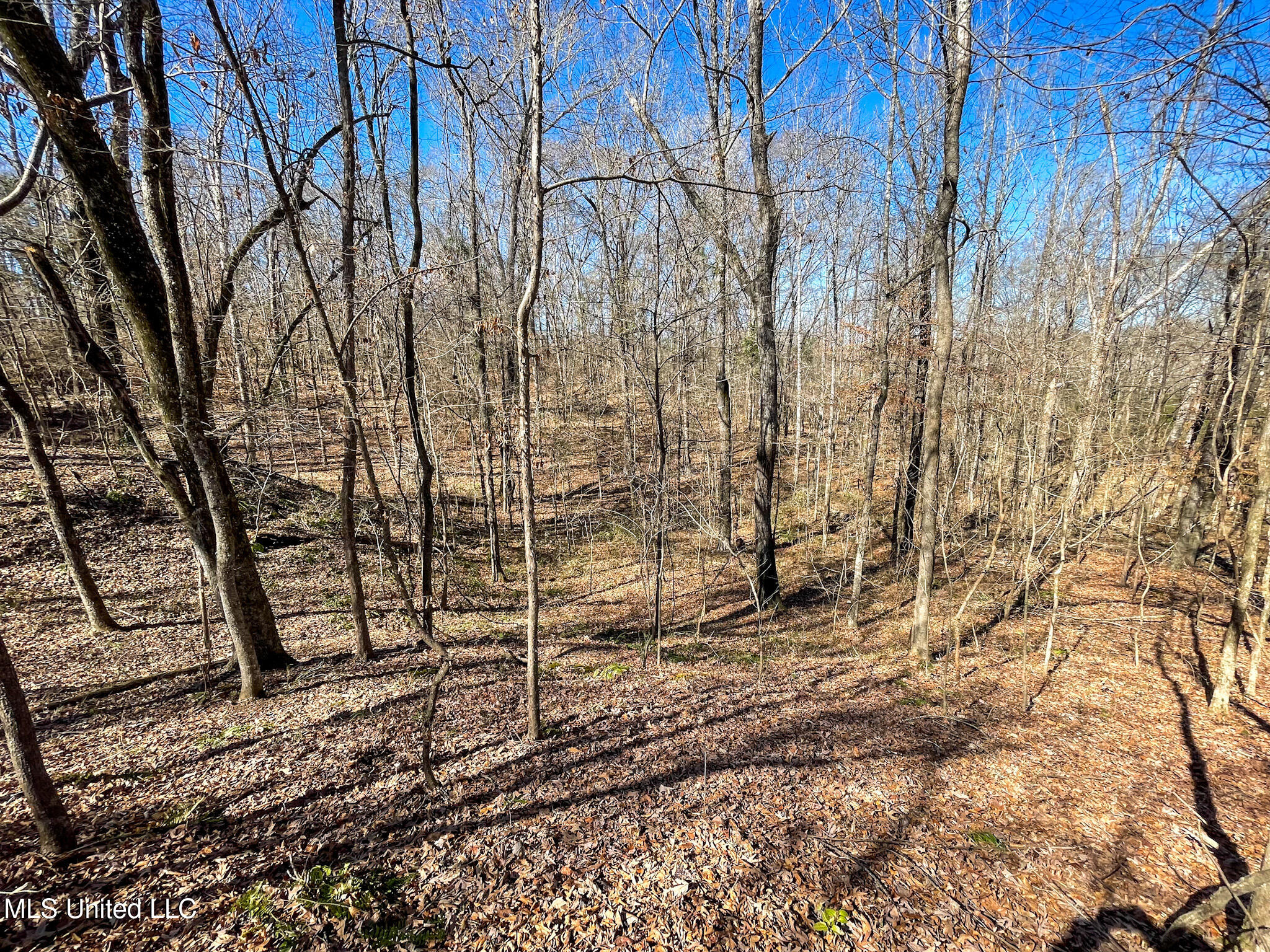 1 Robinson Springs Road Flora, MS 39071 - Photo 8 of 20 IMG_4522