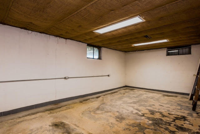 31339 County Line Road Dowagiac, MI 49047 - Photo 14 of 22 mag basemnt