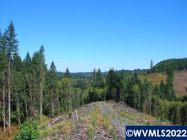 Chapman Grange (lot Road, Unit 25 & 26) Scappoose, OR 97056 - Photo 7 of 7