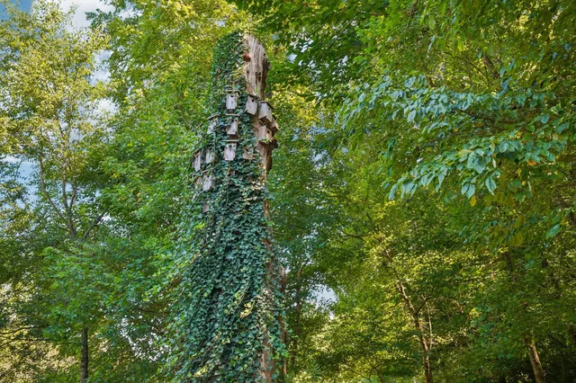 $2,790,000 | 1060 Natchez Valley Lane, Franklin, TN 37064