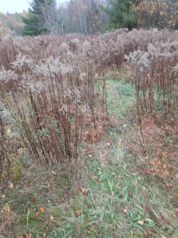 $55,000 | 701 A Route 202 Route South, North Monmouth, ME 04265