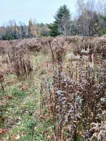 $55,000 | 701 A Route 202 Route South, North Monmouth, ME 04265