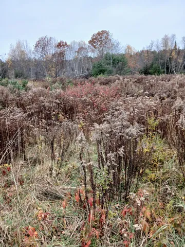 $55,000 | 701 A Route 202 Route South, North Monmouth, ME 04265