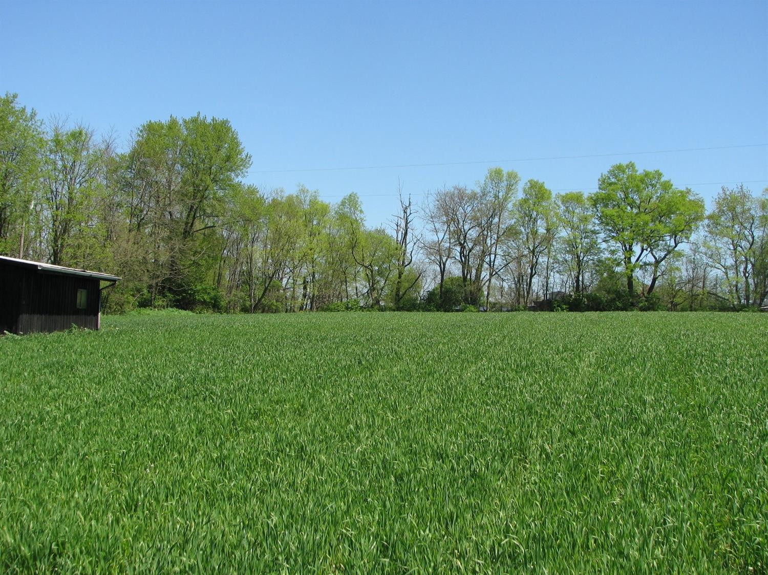 1037 Roseberry Road Carlisle, KY 40311 - Photo 6 of 23 Listing Photo