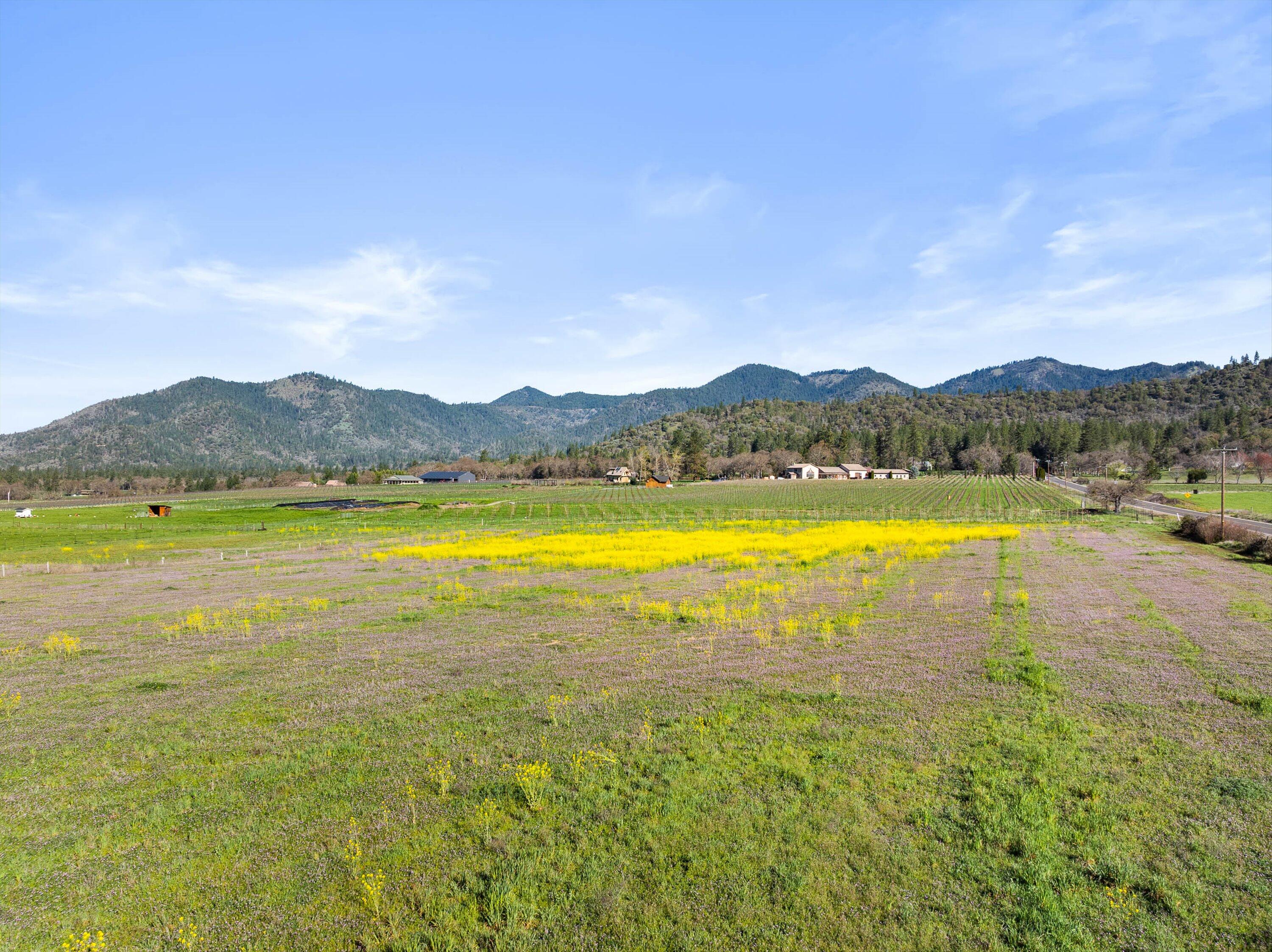 13990 North Applegate Road Grants Pass, OR 97527 - Photo 8 of 25