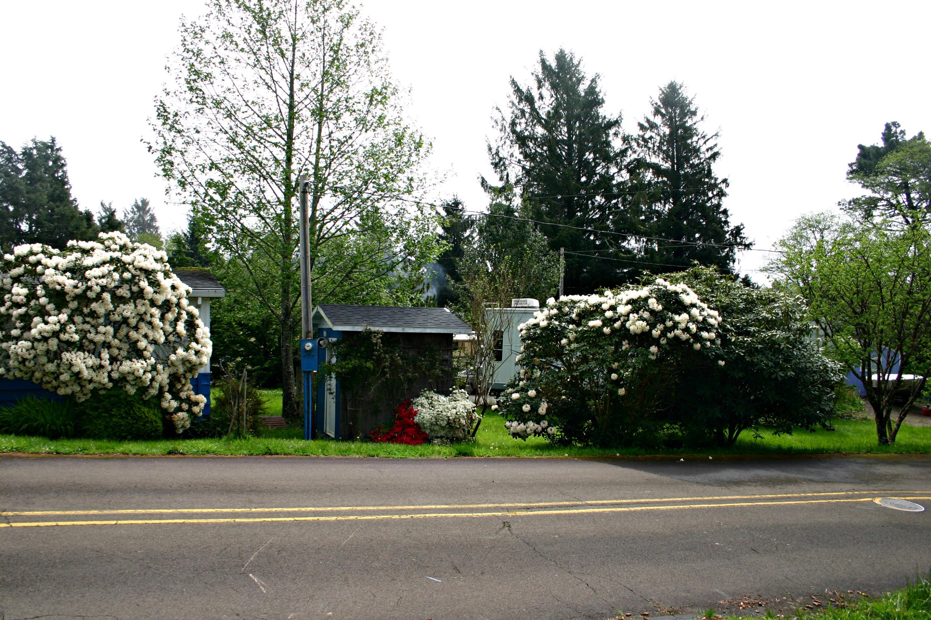 2030 Old Netarts Road West Tillamook, OR 97141 - Photo 48 of 49 IMG_0155-1