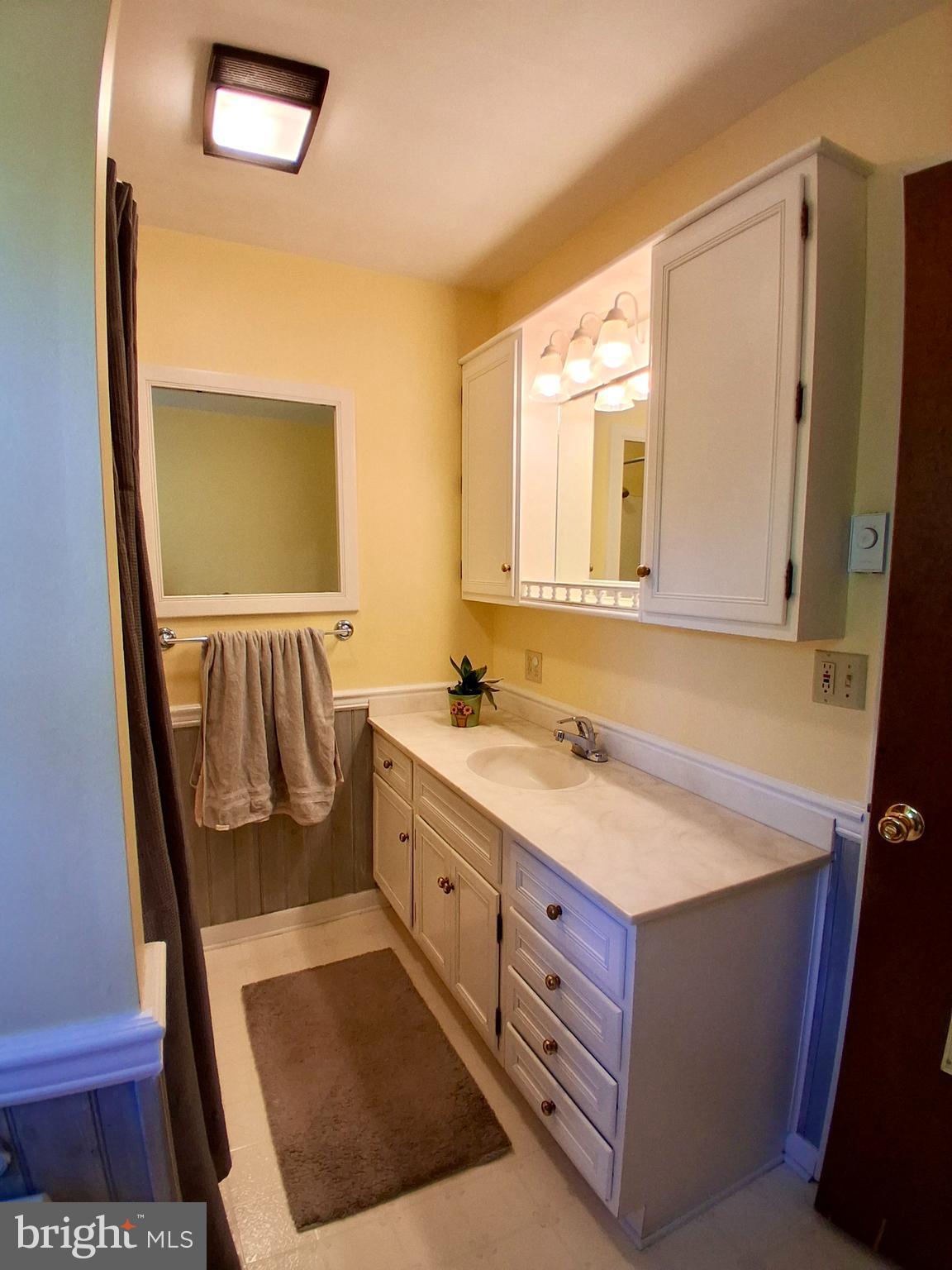 9 Buch Mill Road Lititz, PA 17543 - Photo 26 of 39 a bathroom with a sink and a mirror