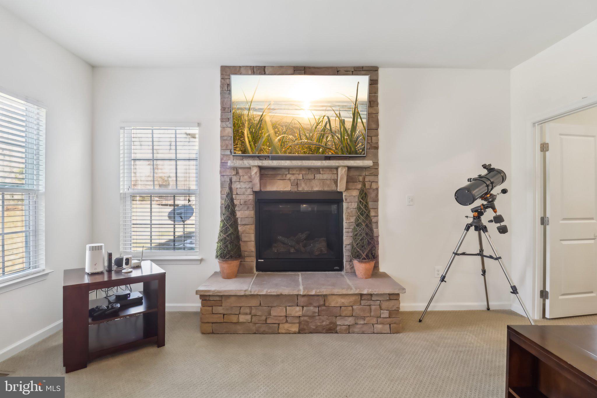 14013 Wheel Wright Place Accokeek, MD 20607 - Photo 23 of 38 a living room with furniture and a fireplace