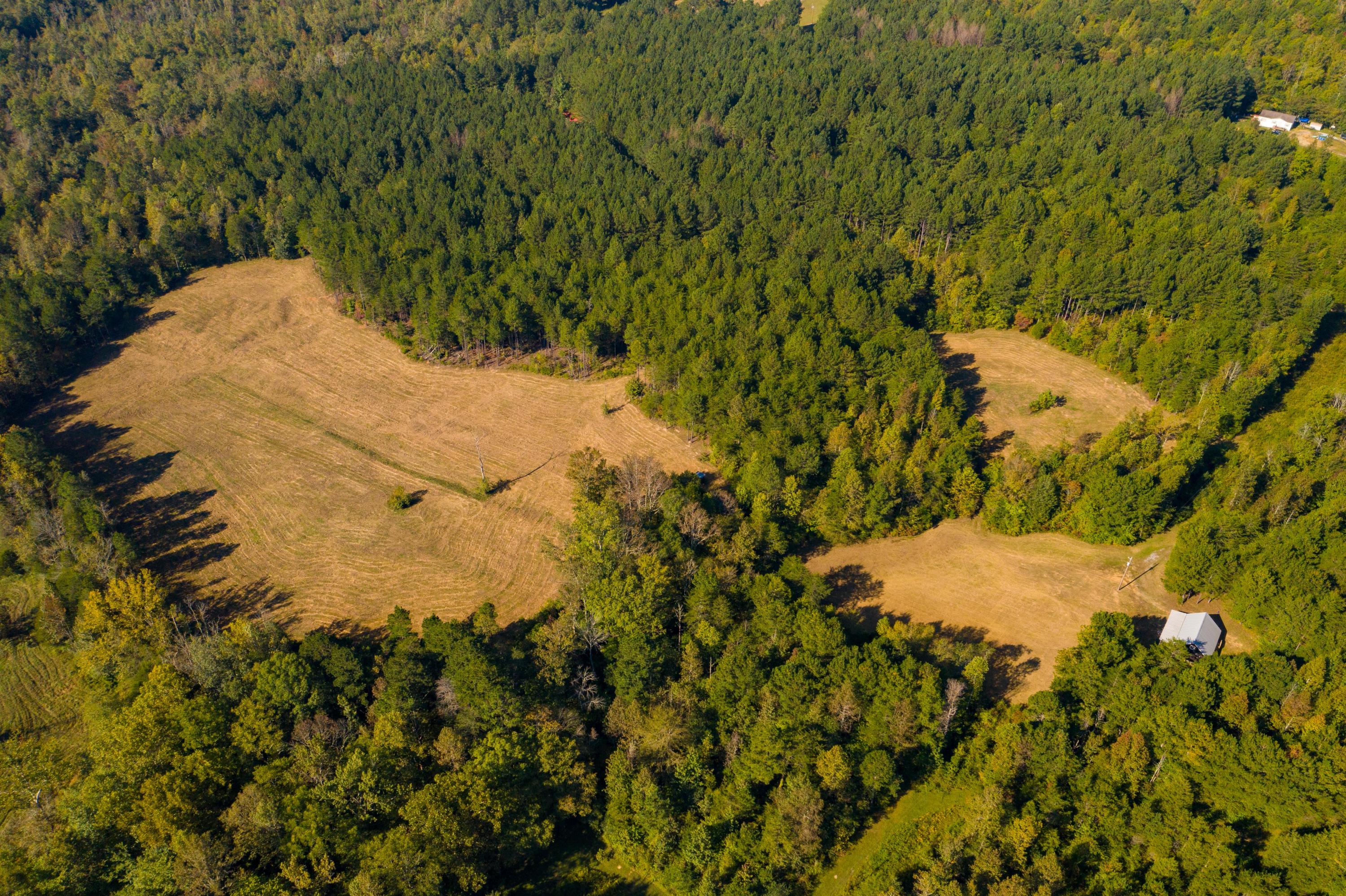 401 Johns Road Decatur, TN 37322 - Photo 1 of 42 DJI_0694