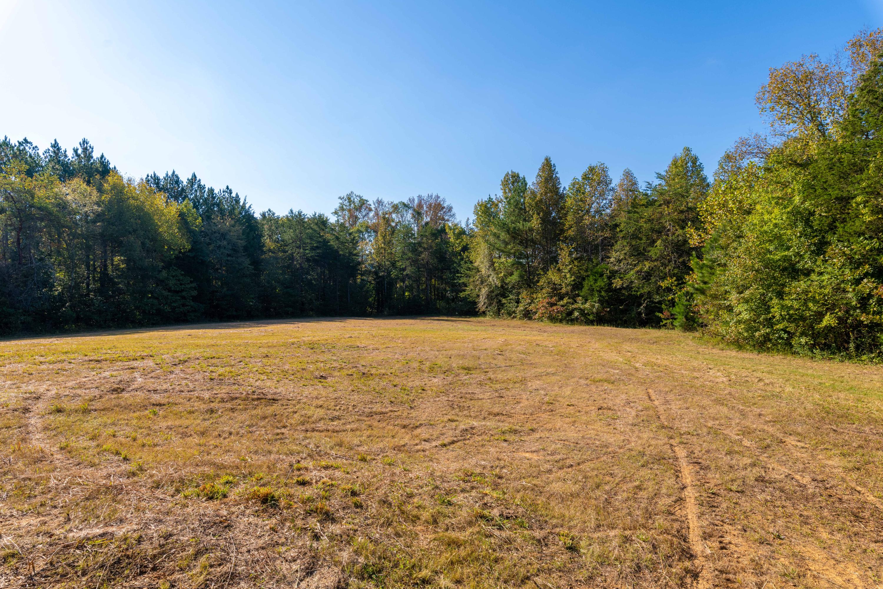 401 Johns Road Decatur, TN 37322 - Photo 19 of 42 D85_2294