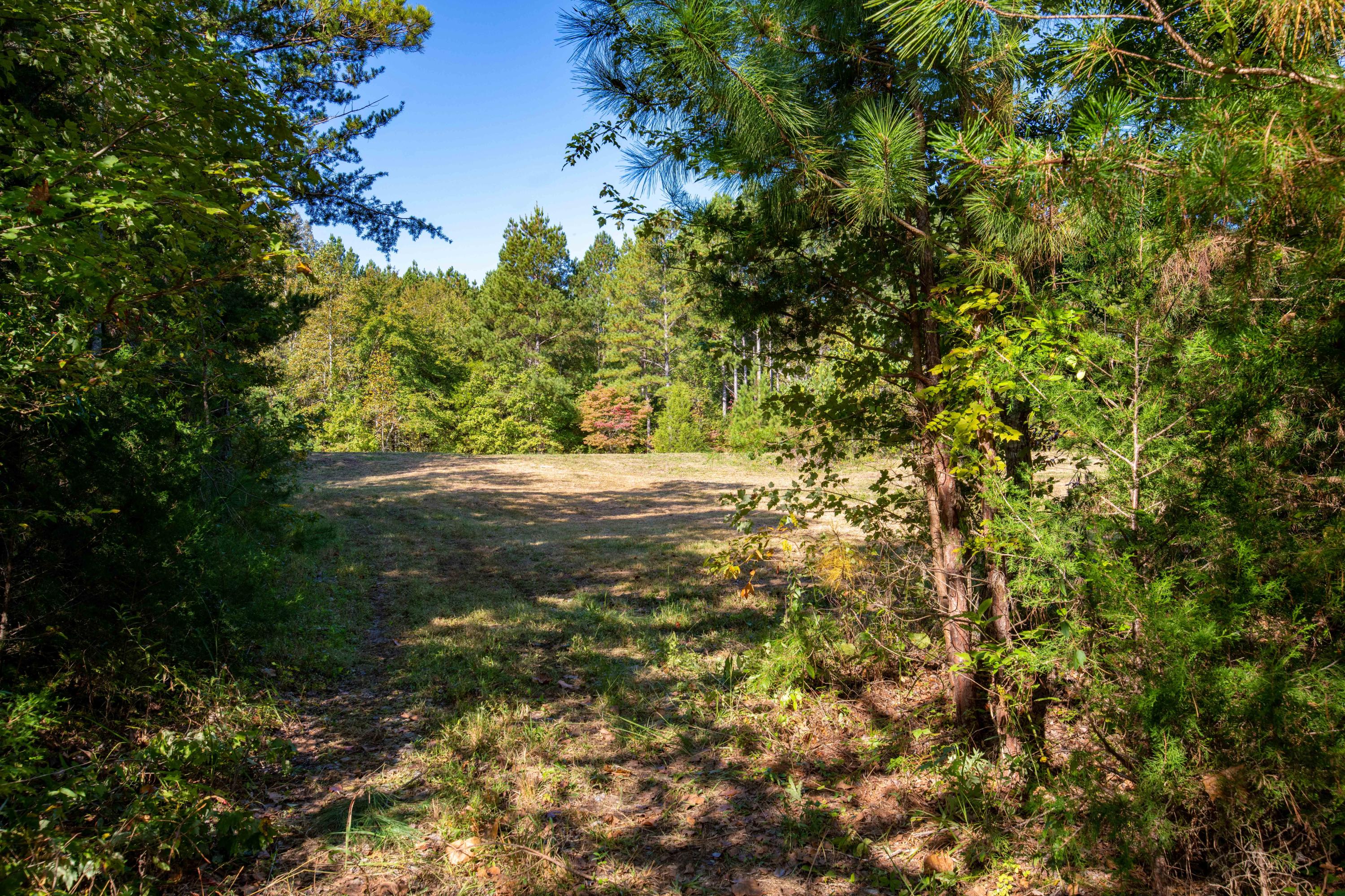 401 Johns Road Decatur, TN 37322 - Photo 21 of 42 D85_2297