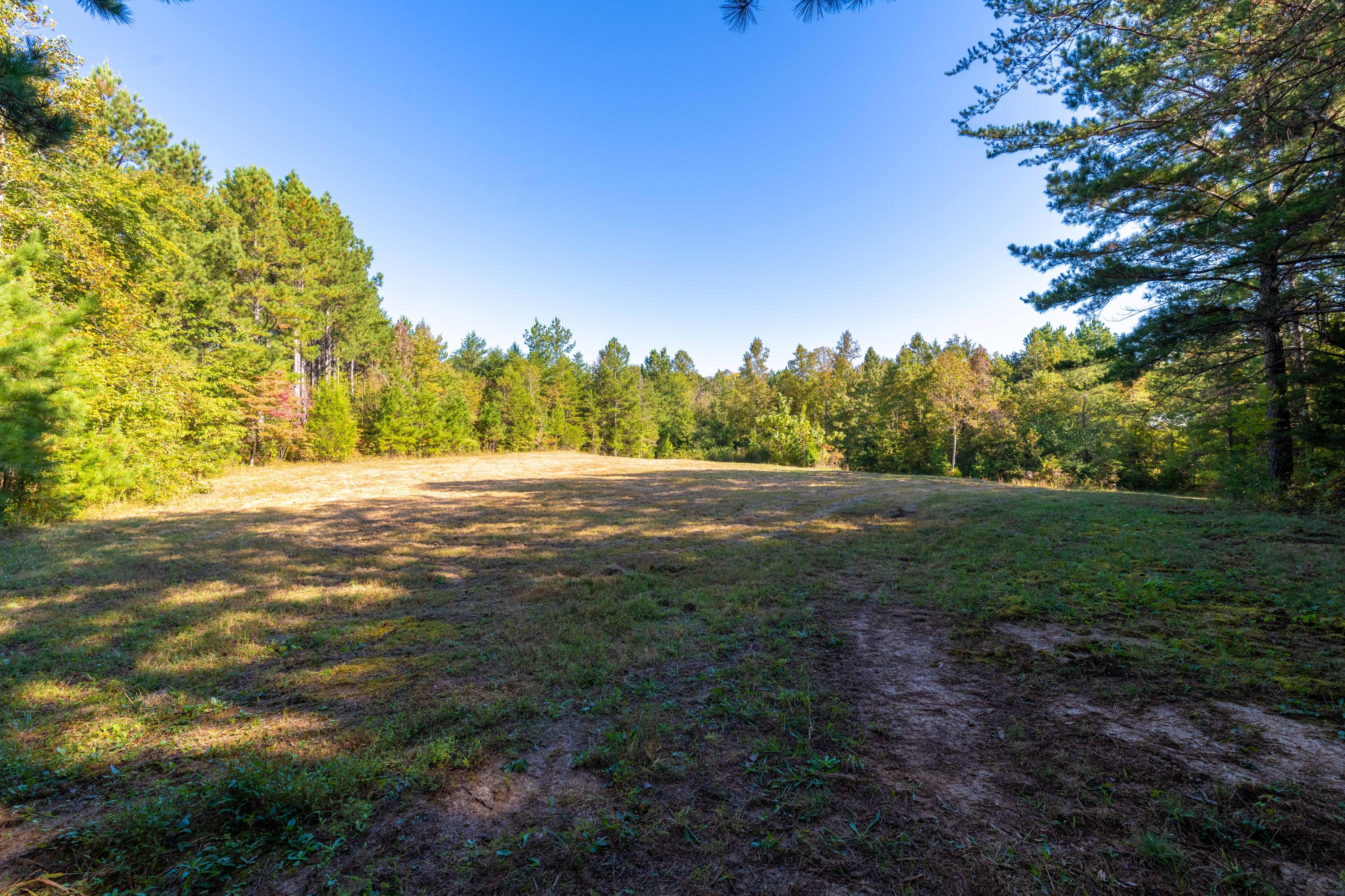 401 Johns Road Decatur, TN 37322 - Photo 23 of 42 D85_2299