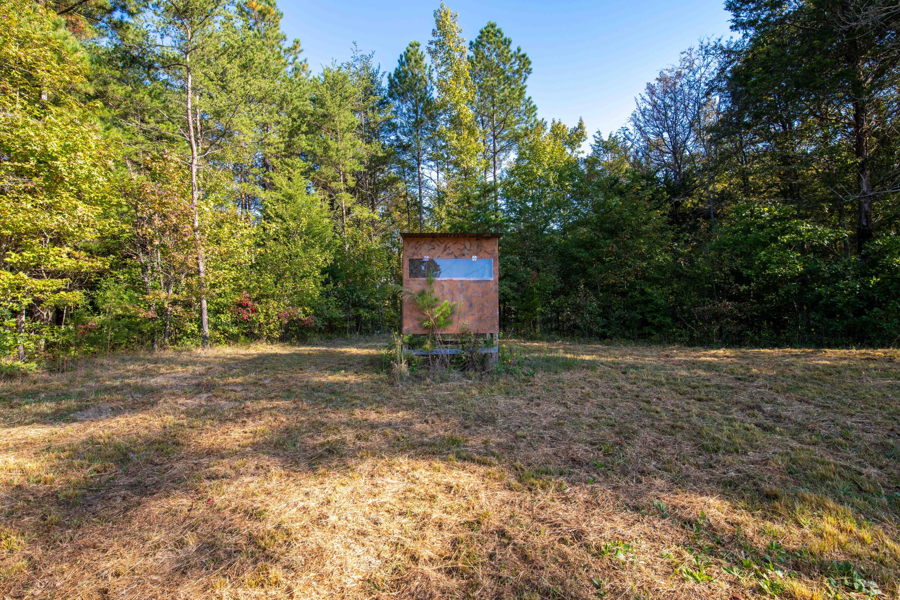 401 Johns Road Decatur, TN 37322 - Photo 25 of 42 D85_2301